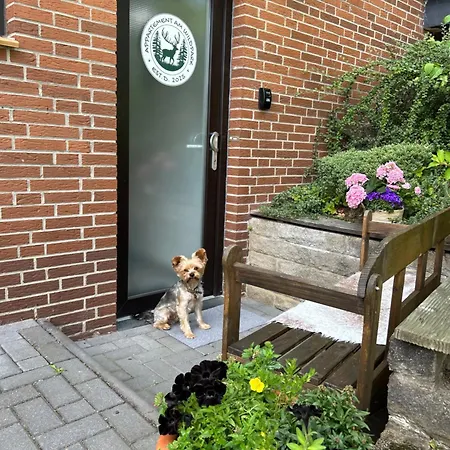 Apartmán Am Wildpark